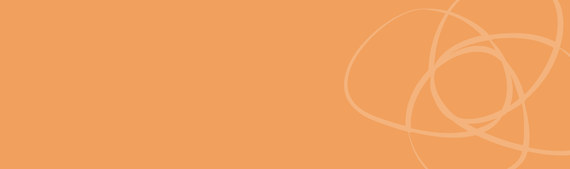 Our Strategic Focus Banner